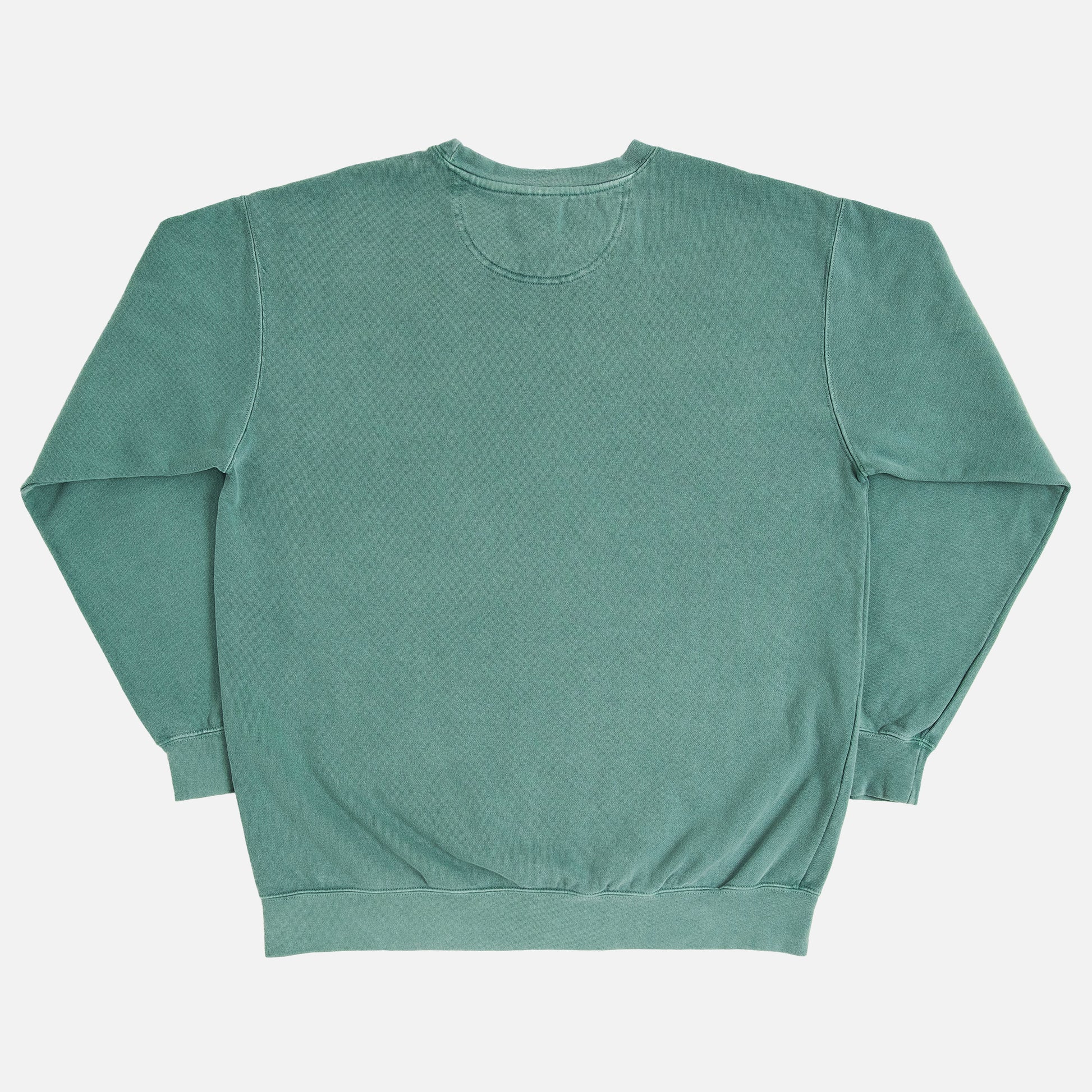 Back of Comfort Colors 1566 Light Green Crewneck Sweatshirt for sale at Throwbacks