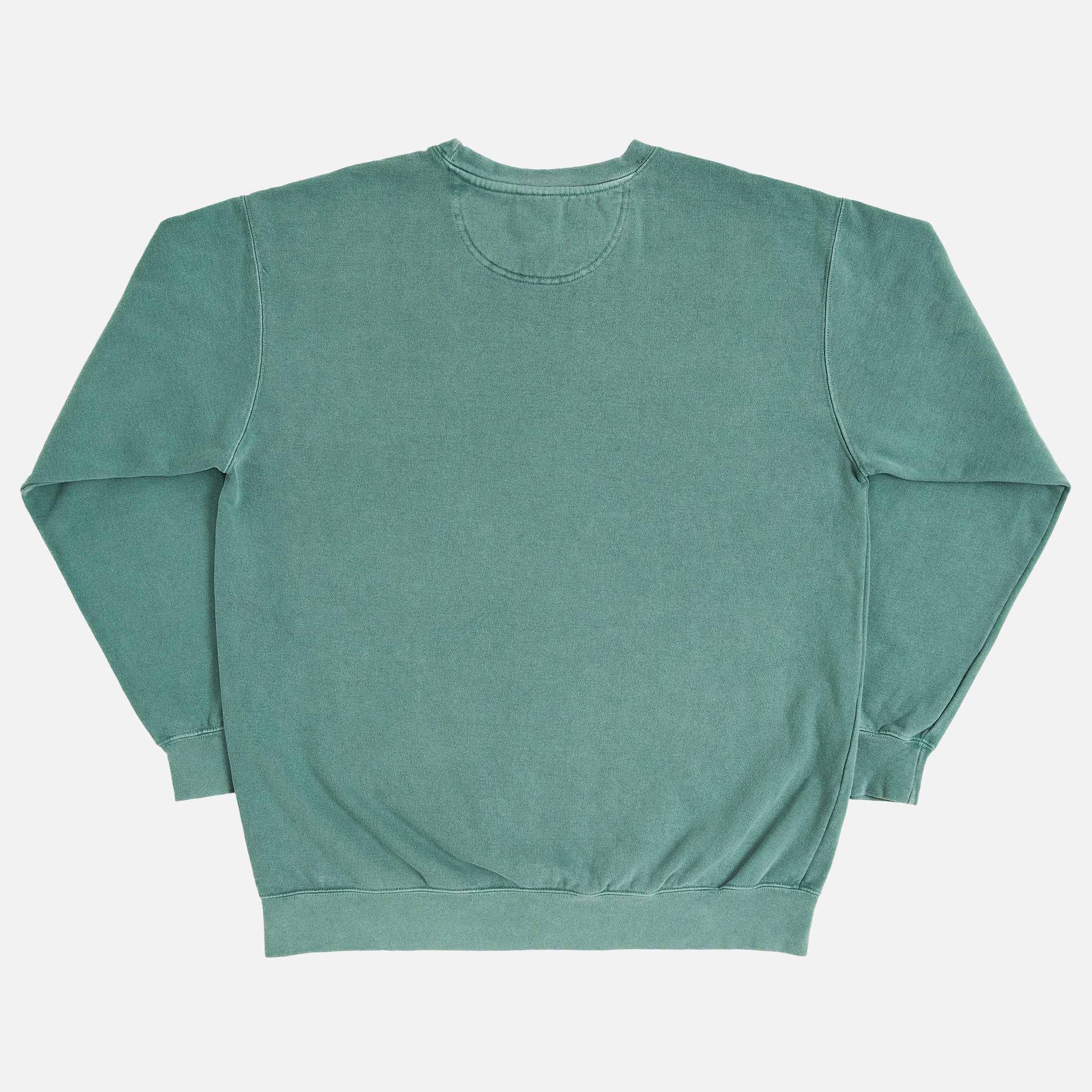 Back of Comfort Colors 1566 Light Green Crewneck Sweatshirt for sale at Throwbacks