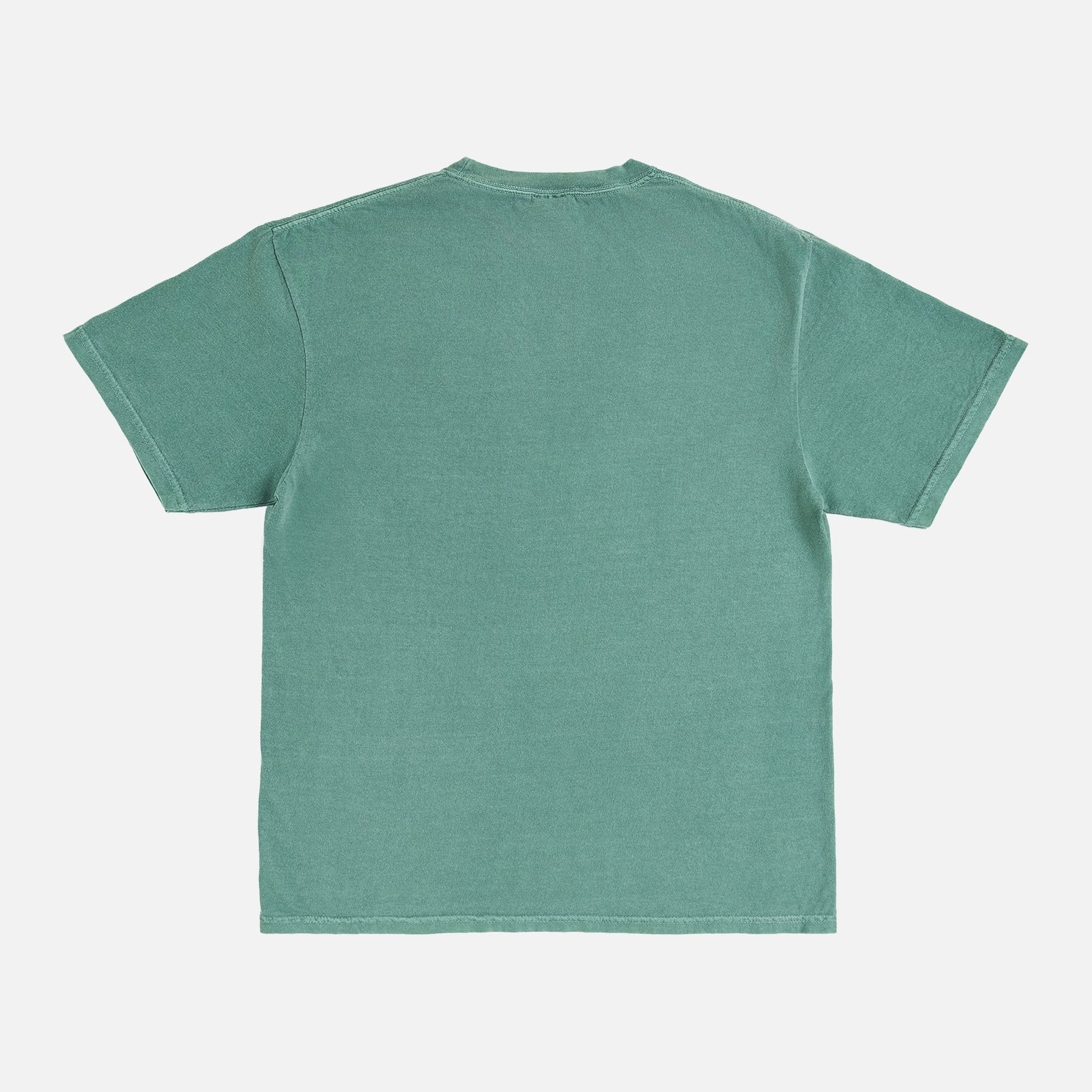 back of light green comfort colors t-shirt for sale at Throwbacks