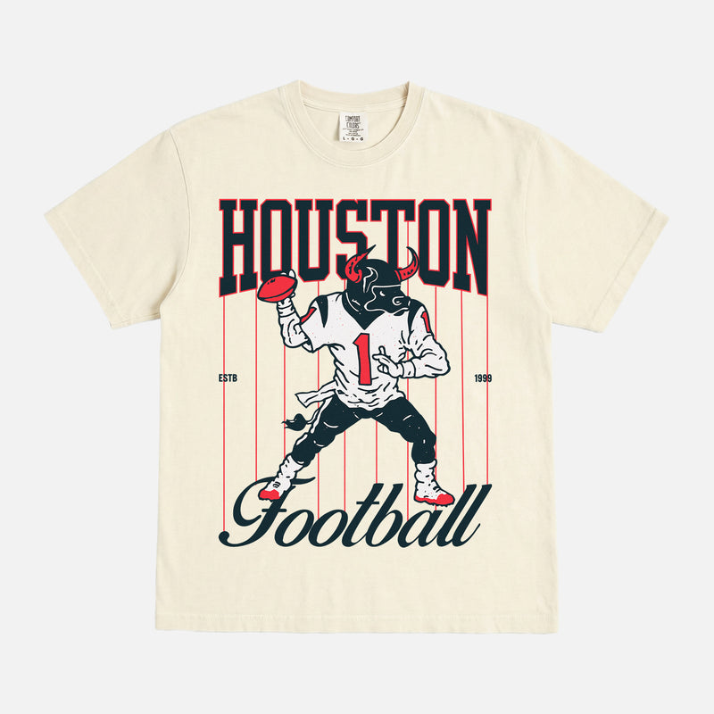 REtro Houston Texans graphic tee with vintage NFL bull mascot on a faded cream comfort colors shirt