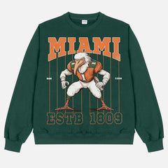 Cool old school Miami Hurricanes football sweatshirt, green heavyweight crewneck with vintage orange Seagull mascot and pinstripes
