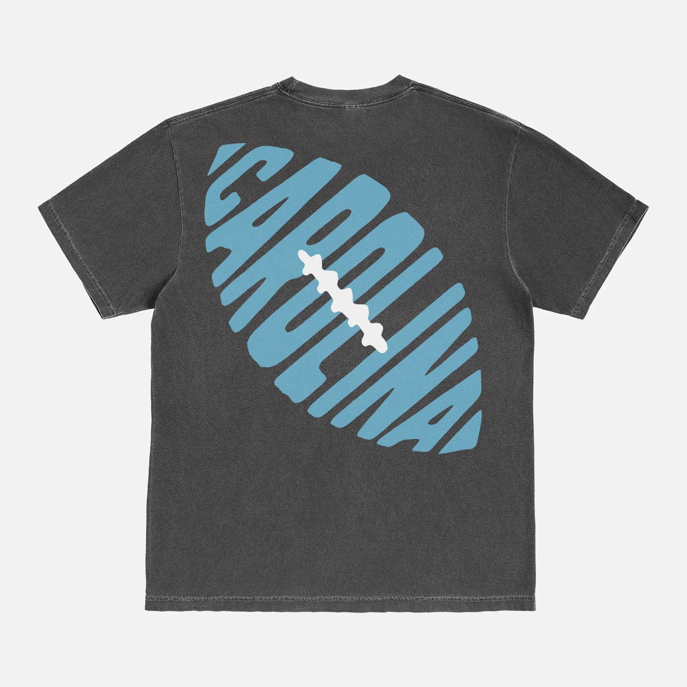 Faded washed black Carolina Panthers streetwear t-shirt with front and back print, vintage Carolina football t-shirt