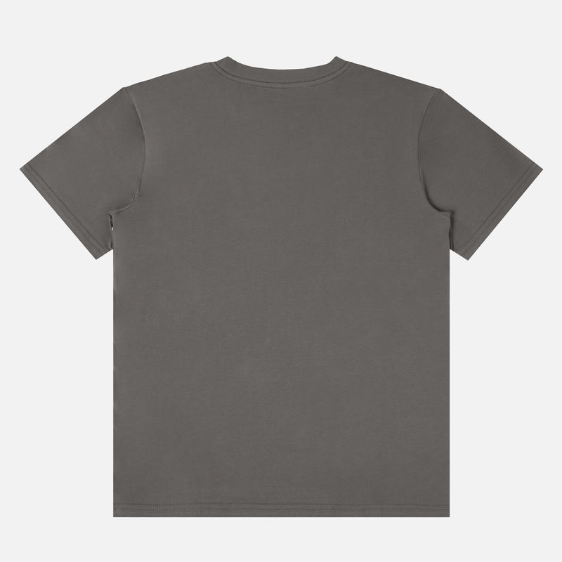 back of a premium charcoal grey heavyweight t-shirt for sale at Throwbacks