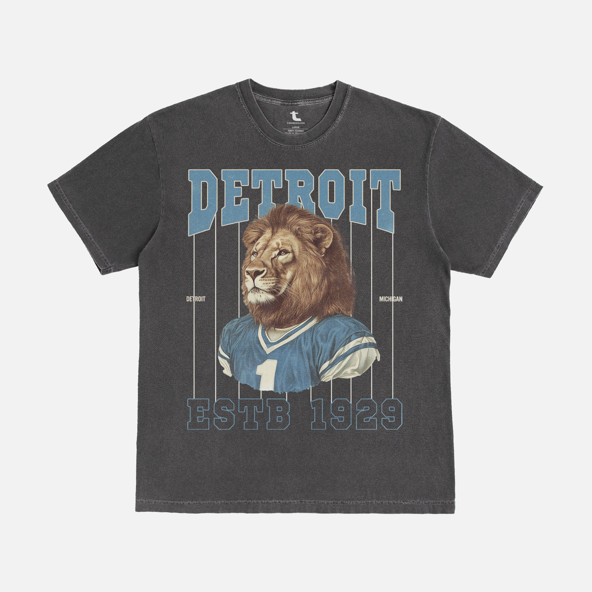 Retro washed black Detroit Lions t-shirt on Comfort Colors unisex tee with vintage blue and silver Lions mascot and pinstripes design