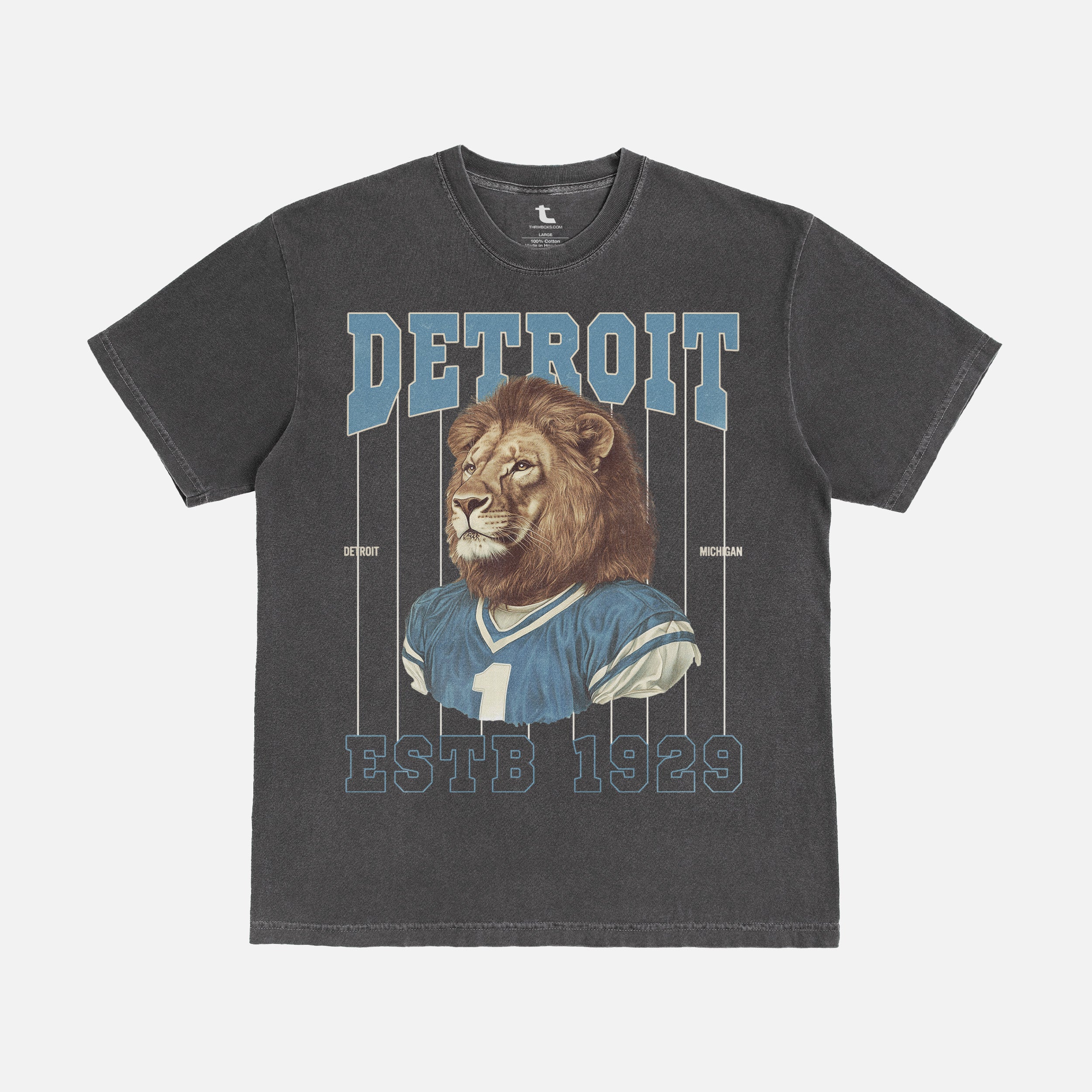 Retro washed black Detroit Lions t-shirt on Comfort Colors unisex tee with vintage blue and silver Lions mascot and pinstripes design