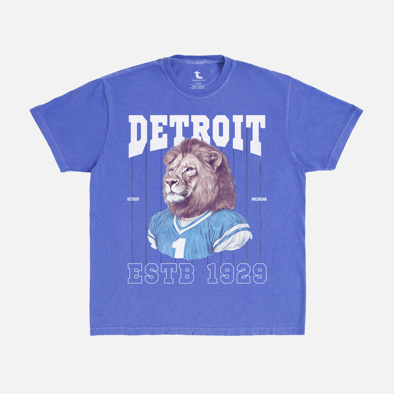 Retro washed blue Detroit Lions t-shirt on Comfort Colors unisex tee with vintage Lions mascot and pinstripes design