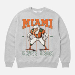 Cool old school Miami Hurricanes football sweatshirt, grey heavyweight crewneck with vintage orange Seagull mascot and pinstripes