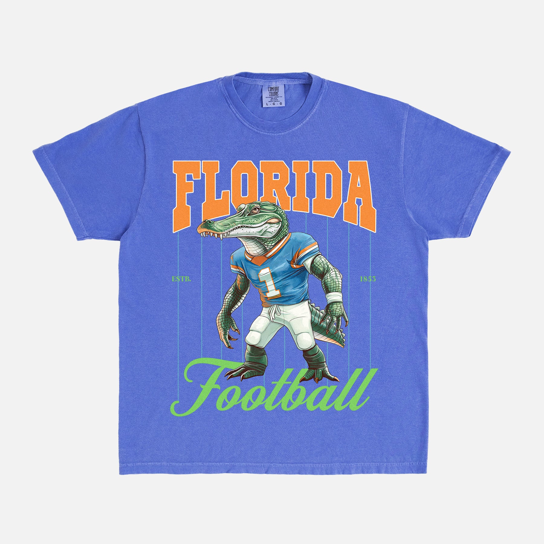 Vintage blue Florida Gators College Football graphic tee with oversized gator pinstripes on a unisex comfort colors shirt