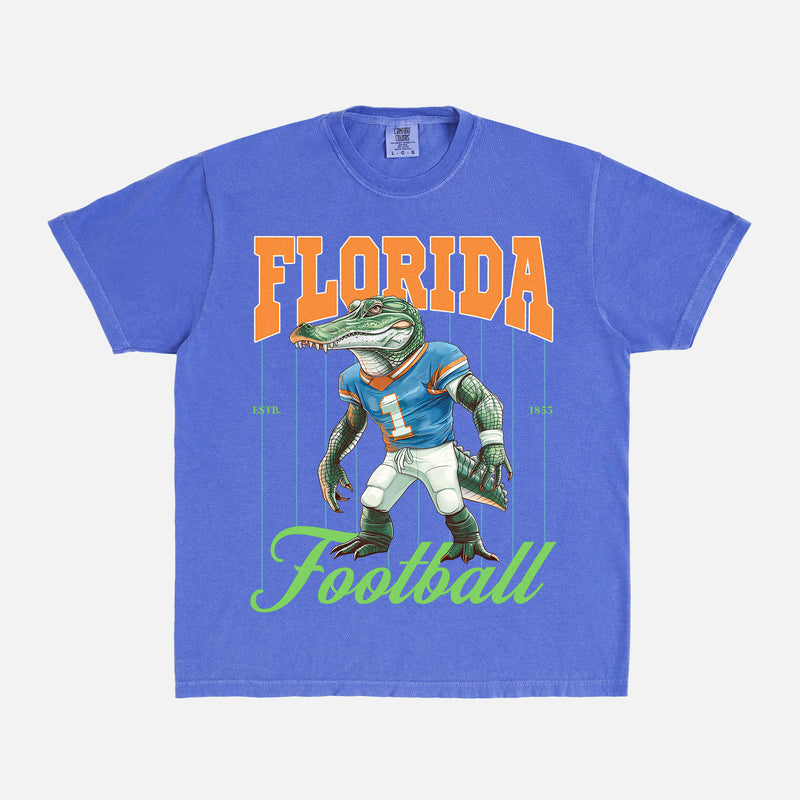 Vintage blue Florida Gators College Football graphic tee with oversized gator pinstripes on a unisex comfort colors shirt