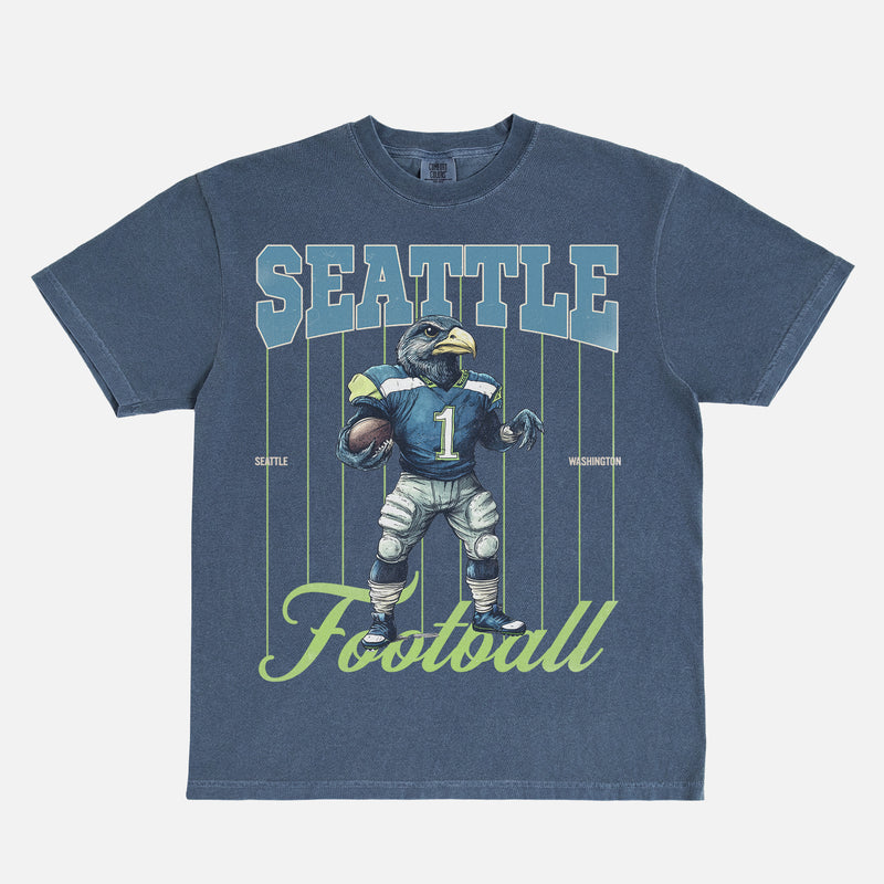 Retro washed navy Seattle Seahawks  football mascot graphic t-shirt  on a bootleg comfort colors tee