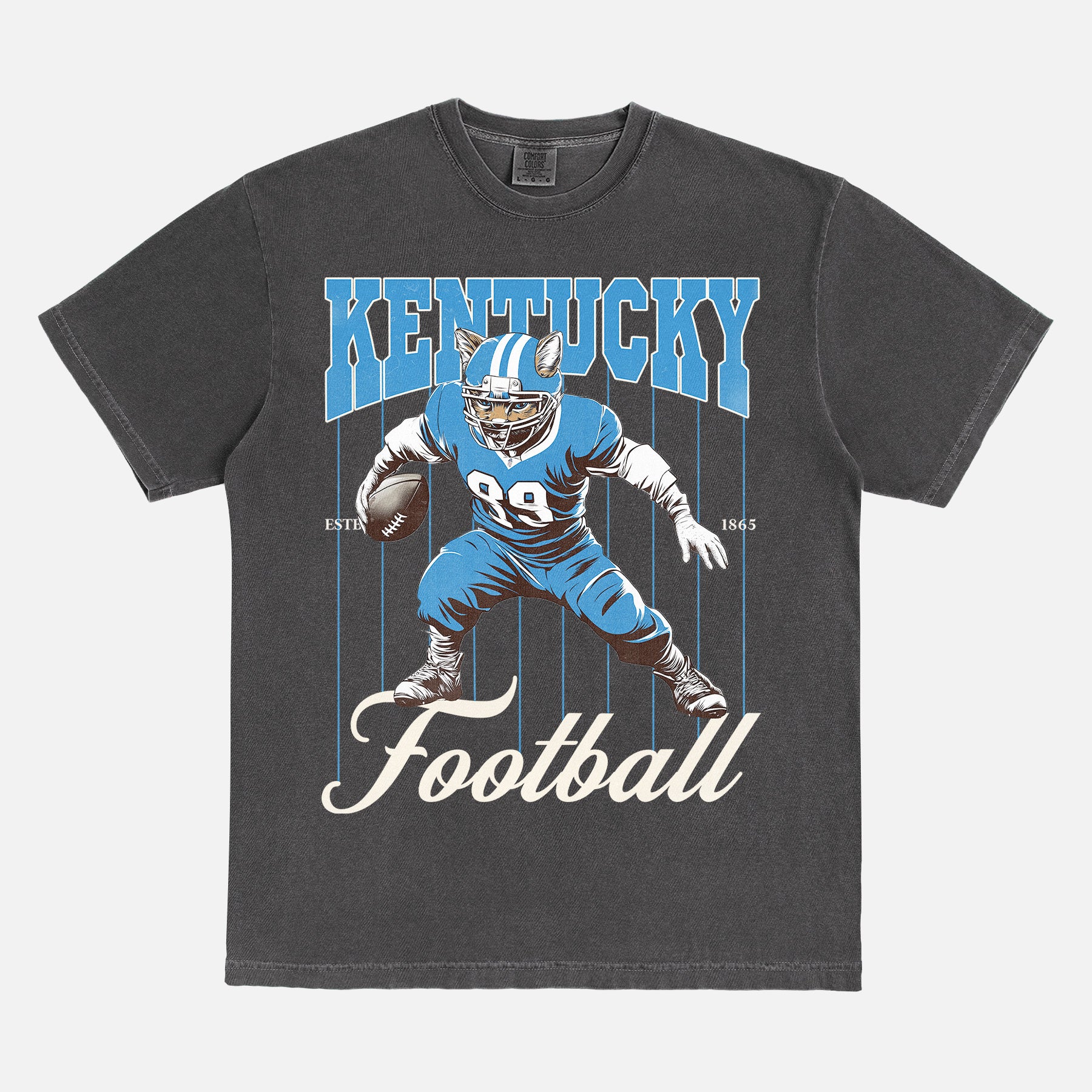 Retro Kentucky Wildcats college football t-shirt with retro mascot pinstripes on a faded black comfort colors graphic tee