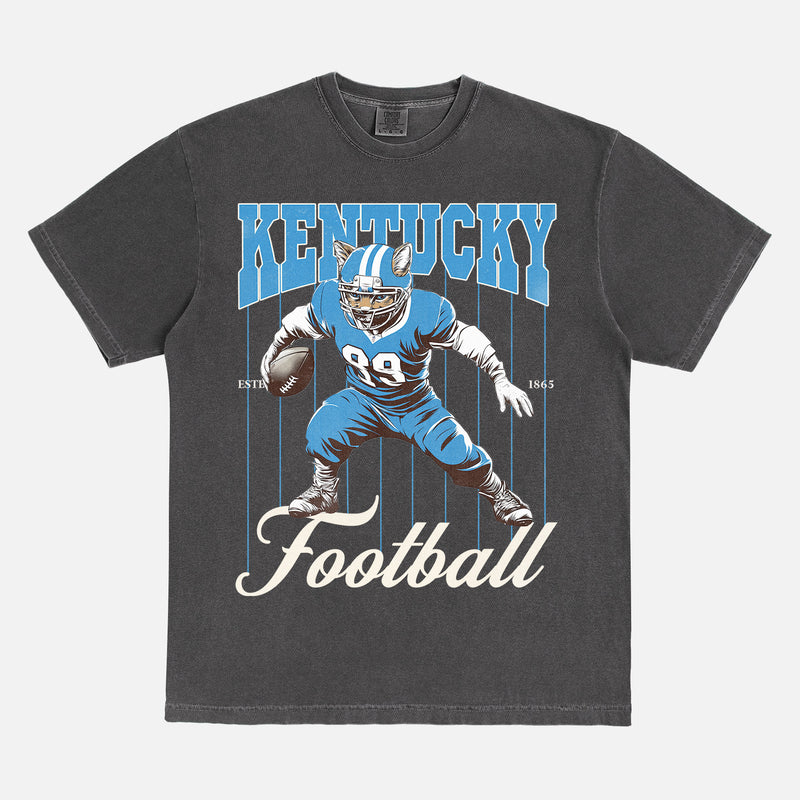Retro Kentucky Wildcats college football t-shirt with retro mascot pinstripes on a faded black comfort colors graphic tee