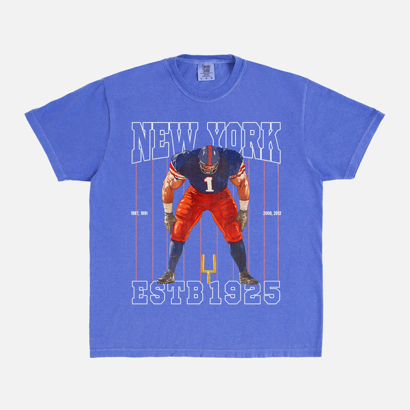 Vintage New York Giants football fan t-shirt with retro mascot pinstripes on a faded blue comfort colors graphic tee for sale at Throwbacks