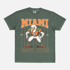 Cool washed green and orange Miami Hurricanes football mascot Comfort Colors t-shirt for sale at Throwbacks