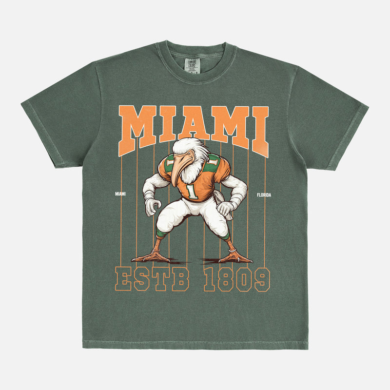 Cool washed green and orange Miami Hurricanes football mascot Comfort Colors t-shirt for sale at Throwbacks